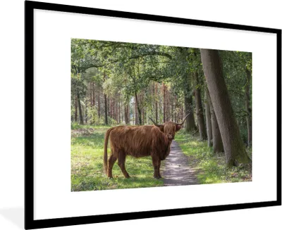 Produktbild von MuchoWow® MuchoWow® Gerahmtes Poster Schottisches Hochlandrind - Kröte - Baum 90x60 cm - Poster mit zchwarzem Bilderrahmen - Wanddekoration - Fotos