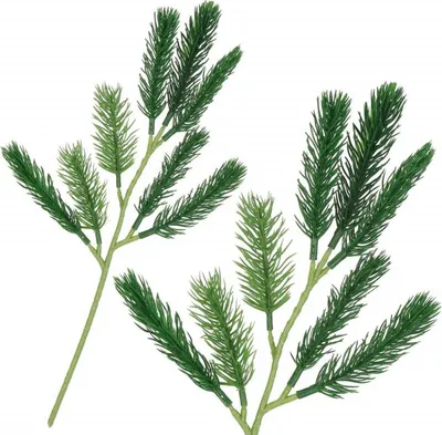 Immagine prodotto di Ramoscello artificiale di abete 32 cm verde, decorazione natalizia