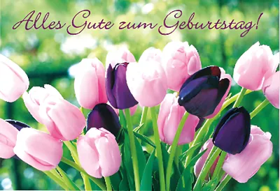 Produktbild von Cartolini Klappkarte mit Sprüchen 041