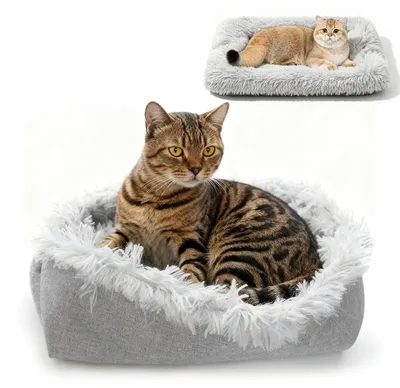 Produktbild von 2-in-1 Katzenbett für Katzen und kleine Hunde