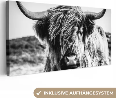 Produktbild von MuchoWow® - Leinwandbilder - Kuh - Schottischer Hochländer - Schwarz - Weiß - Tier - Natur - Wildtiere, Wandbild, Wanddeko Bilder Wohnzimmer, 40x20cm