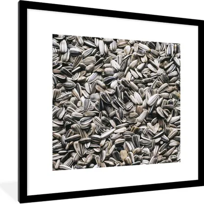Produktbild von MuchoWow® Gerahmtes Poster Nahaufnahme von weißen Sonnenblumenkernen 40x40 cm - Poster mit Schwarzem Bilderrahmen Wandposter Rahmen Foto Bilder - Poster - Plakat im Rahmen