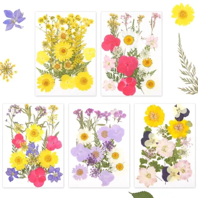 Productafbeelding van Omgoods - Set van 5 Gedroogde Bloemen voor Creatieve Projecten