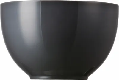 Obrázek produktu pro Thomas 10850-408532-15456, Porcelán, 0,45 l