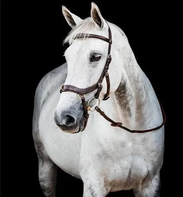 Produktbild von Horseware Ireland Trense Micklem 2 Multi Bridle Micklemtrense Dark Havana Full