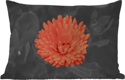 Produktbild von MuchoWow® Outdoor Kissen - Blumen - Orange - Schwarz - Weiß - 60x40 cm - Wetterfest - Lounge Kissen - Zierkissen - Kissen für Innenräume