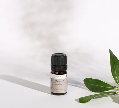 Image de Huile de cèdre, huile essentielle, 100% pure, BIO, naturelle, 10 ml