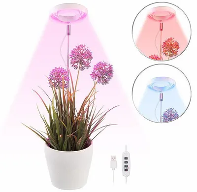 Image de Lampe de croissance USB réglable à planter avec LED spectre complet