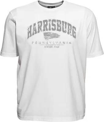 Produktbild von Übergrößen T-Shirt Harrisburg Grau AHORN SPORTSWEAR Weiß 8XL