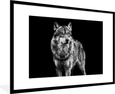 Produktbild von MuchoWow® Gerahmtes Poster Wolf - Tiere - Wild - Schwarz - Weiß 90x60 cm - Poster mit Schwarzem Bilderrahmen Wandposter Rahmen Foto Bilder - Wanddekoration - Fotos
