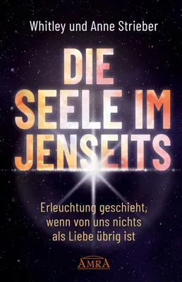 Produktbild von Die Seele Im Jenseits