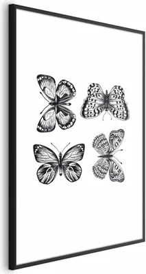 Produktbild von Posterpapier Poster - Four Butterflies 21x30 cm Tiere g-B-0117-ao-a