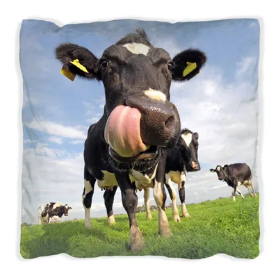 Produktbild von Wallario Premium Kissen, weiche Oberfläche, mit Motiv Lustige Kuh auf der Weide mit herausgestreckter Zunge, Größe: 40 x 40 cm, mit weißer Rückseite