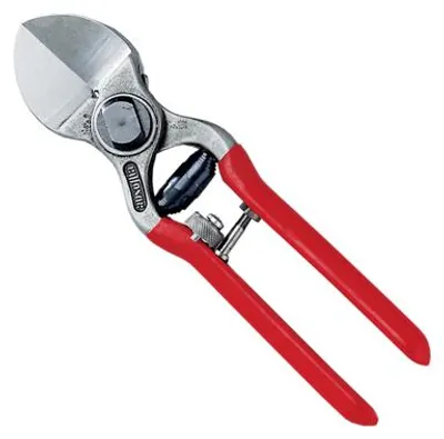 Image de SÉCATEUR DE VERGER AUSONIA 20 cm