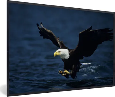 Produktbild von MuchoWow® MuchoWow® Gerahmtes Poster Adler - Nahaufnahme - Wasser 30x20 cm - Poster mit zchwarzem Bilderrahmen - Kunstdruck - Bild-Poster