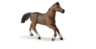 Immagine prodotto di Papo Cavalli Cavallo Cavallo anglo-arabo 51075