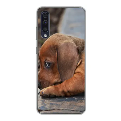 Produktbild von MuchoWow® Handyhülle Schutzhülle Hülle für Samsung Galaxy A30s Dackelwelpe liegt am Rande des Bürgersteigs Silikon Softcase Handy Hülle - Karteninhaber
