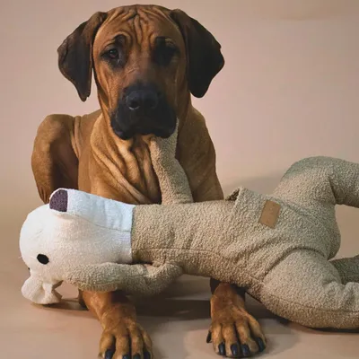 Produktbild von PAIKKA Hundespielzeug Känguru 70 cm aus Recycling-Material zum Verstecken von Leckerlis