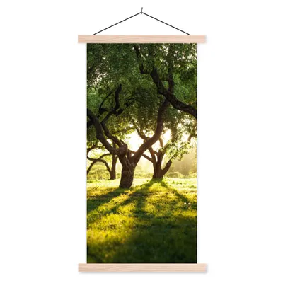 Produktbild von MuchoWow® Textilposter Bäume - Natur - Sonne 40x80 cm mit holzfarbenen Rahmen - Wohnzimmer