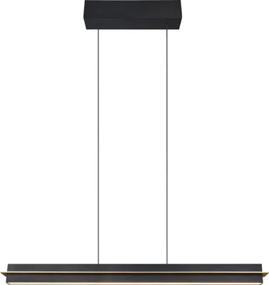 Produktbild von Trio Pendelleuchte Emerson 22W schwarz warmweiß-kaltweiß