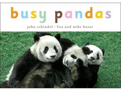 Immagine prodotto di Busy Pandas