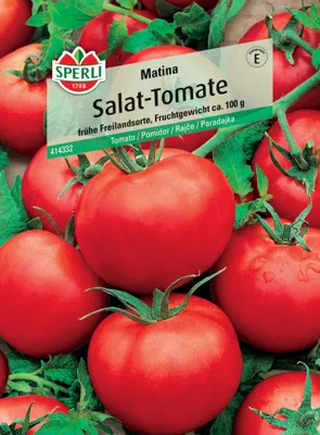 Produktbild von Tomate 'Matina' Sperli Gemüsesamen