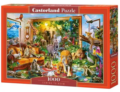 Zdjęcie produktu dla Castorland Puzzle 1000 Elementów - Widok Z Okna