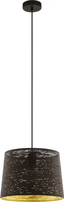 A pendant light fixture against a white background.