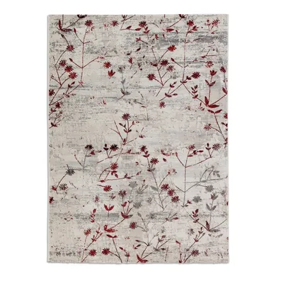 Image de Astra Salon Tapis à poils courts ANTEA rouge clair 80 x 150 cm