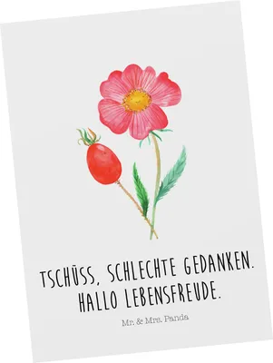 Produktbild von Mr. & Mrs. Panda Postkarte Blume Hagebutte - Weiß - Geschenk, Garten, Fotokarte, bildkarte, Lebensfreude, Schlechte Gedanken, Ansichtskarten, Grußkarte, Postkarten