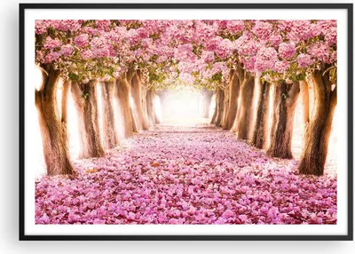 Produktbild von Gerahmtes Poster - Schwarzer Rahmen - Baum Blumen Kirsche Natur - 100x70 cm - Wand Bild - Wanddeko - Wandbilder - Wandposter - Bilderrahmen - Bilder - Kunstdruck - Wandbild - P2BAA100x70-2794