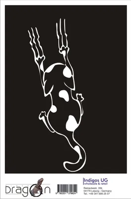 Produktbild von Aufkleber / Autoaufkleber - JDM / Die cut / Auto / OEM - Katze - 210x80 mm schwarz - Heckscheibe / Heckscheibenaufkleber