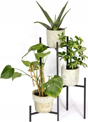 Produktbild von Dreifacher Blumenständer, entworfen für einen Loft-Blumentopf Topfblument 81 cm