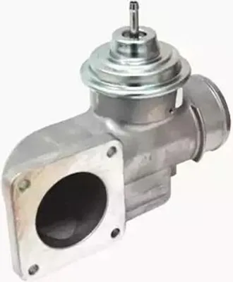 Zdjęcie produktu dla Zawór Egr Vw