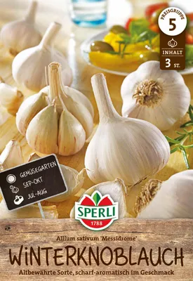 Produktbild von SPERLI Winterpflanzknoblauch Messidrome - weiß Allium sativum 3 Knollen