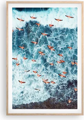 Produktbild von Gerahmtes Poster - Rahmen in heller Eiche - Flamingos Karibik Vögel - 61x91,5 cm - Wand Bild - Wanddeko - Wandbilder - Kunstposter - Wandposter - Bilderrahmen - Bilder - Kunstdruck - P2NPA61x91-5013