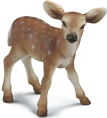 Produktbild von Schleich 14256 - Wild Life - Weißwedelkalb