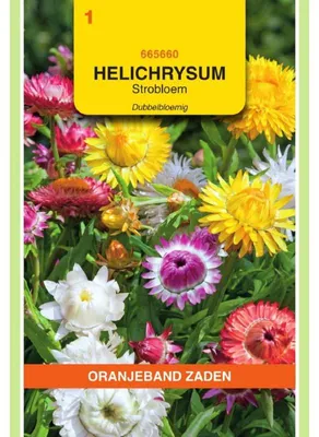 Imagen del producto de Mezcla de semillas de Helichrysum bracteatum (también conocido como "flor de naranja"), 1 paquete