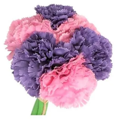 Produktbild von Nelkenstrauß, künstliche Blumen, 24 cm, 6 Zweige