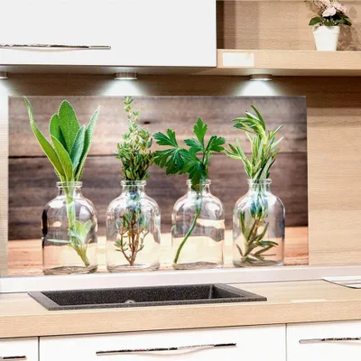 Produktbild von Küchenrückwand aus Glas mit Kräutermotiv | Spritzschutz für den Herd | Bildmotiv Gewürze, Glasplatte 60x40cm