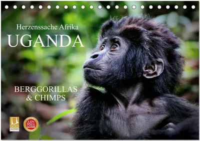 Produktbild von UGANDA - Berggorillas & Chimps (Tischkalender 2026 DIN A5 quer), CALVENDO Monatskalender