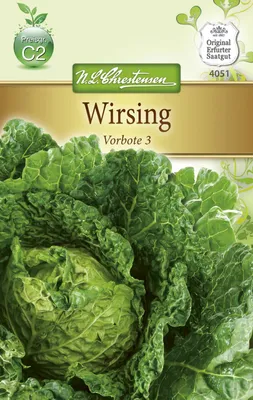 Produktbild von Wirsing Vorbote 3 | Wirsingsamen von N.L. Chrestensen