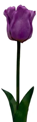 Productafbeelding van Clayre & Eef Kunstbloem Rosa, kunststof