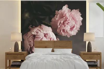 Produktbild von MuchoWow® Fototapete für Wohnzimmer oder Schlafzimmer Wandtapete Vinyl Motivtapete Zwei rosa Pfingstrosen - 280x280 cm - Hintergrundbild