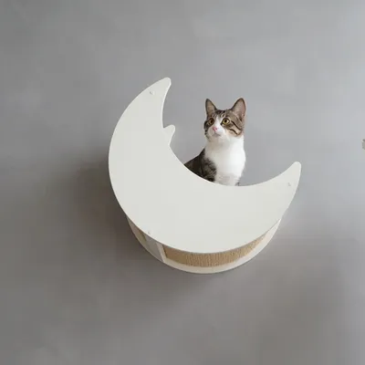 Produktbild von CatS Design Kletterwand große Katzen stabil Wandkratzbaum Wandbett Mond F7