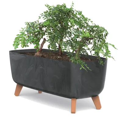 Produktbild von Blumentopf an den Füßen Töpfe Pflanzkübel 39 cm Breite Anthrazit Kunststoff Blumenkasten mit Einsatz Beton Optik Übertöpfe Geldbaum Kakteen Gummibaum