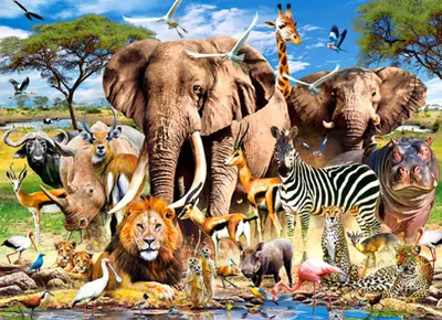 Produktbild von CASTORLAND Puzzle Safari 200 Teile