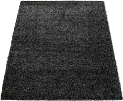 Image de Tapis à poils longs Salon Shaggy Poils longs Doux Motif uni Gris foncé Taille Ø 200 cm Rond