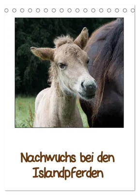 Produktbild von Nachwuchs bei den Islandpferden (Tischkalender 2027 DIN A5 hoch), CALVENDO Monatskalender