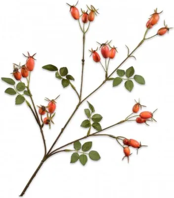 Produktbild von Silk-ka Künstliche Blume – Seidenblume – künstlicher Zweig, Hagebuttenzweig, Orange, 67 cm, pro 2 Stück